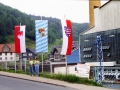 1993 1 Erste Fr.Fahnen im Henneberger Land gesichtet - Lauscha Foto J.Kalb.jpg